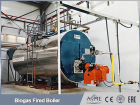 industrial biomass boiler,biogas methane boiler,biogas steam boiler