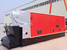 Biomass steam boiler