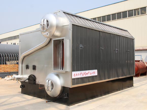 Biomass steam boiler