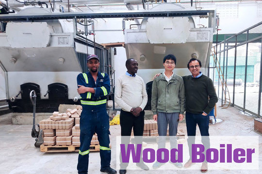 2ton briquette fired boiler,china wood briquette steam boiler,2ton biomass briquette fired boiler