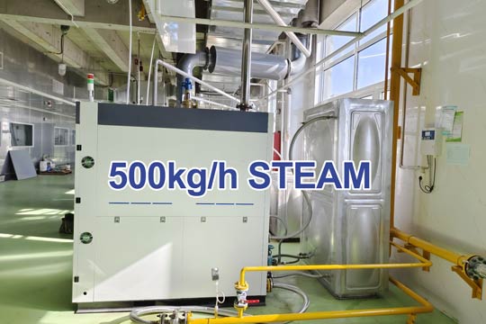 steam generator for food processing,500kg steam generator,gas steam generator