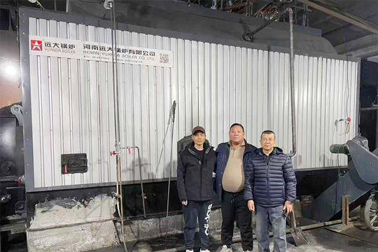 6ton coal fired boiler,dzl coal boiler,mongolia boiler supplier