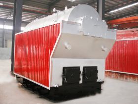 DZH Coal/Wood Steam Boiler