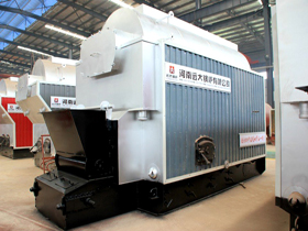 DZL Coal Steam Boiler