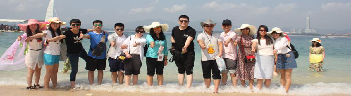 our team