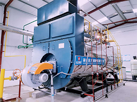 Condensing Steam Boiler