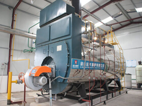 Natural Gas/LPG Fired Boiler
