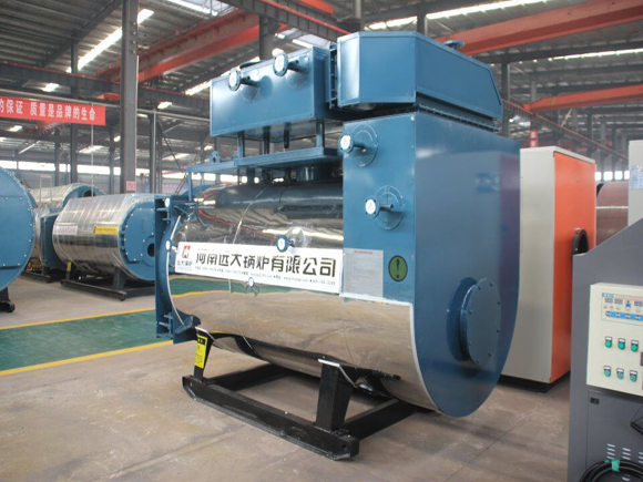 Natural Gas/LPG Fired Boiler