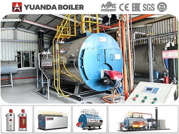 Industrial biogas fired steam boiler for large scale steam generation