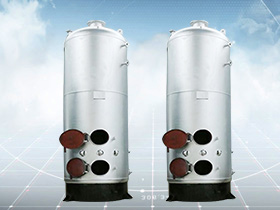vertical wood boiler,vertical biomass boiler,small wood biomass boiler