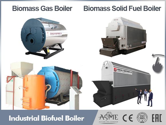 biofuel fired boiler,industrial biofuel boiler,biofuel biomass boiler