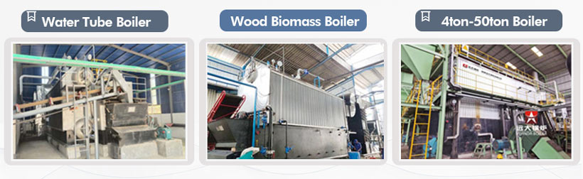 water tube biomass boiler,biomass steam generator,wood steam generator