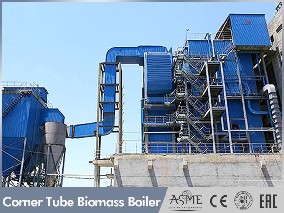 chain grate biomass boiler,reciprocating grate boiler,china biomass boiler