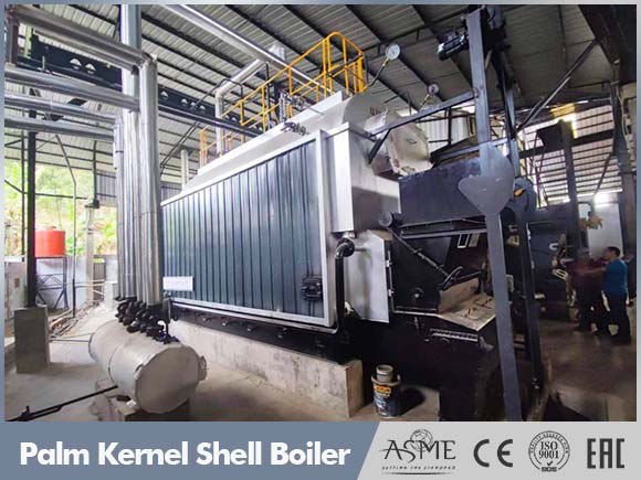 biomass steam boiler,steam boiler in palm oil mill,indoneisa palm oil mill boiler