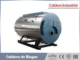 caldera biogas,caldera industrial biogas,caldera vapor biogas