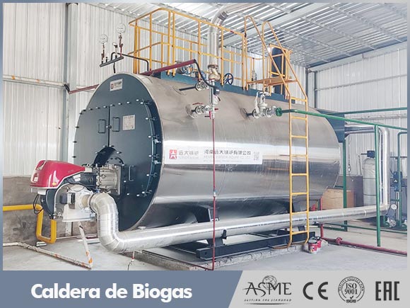 caldera biogas,caldera industrial biogas,caldera vapor biogas