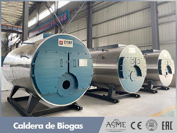 caldera biogas,caldera industrial biogas,caldera vapor biogas