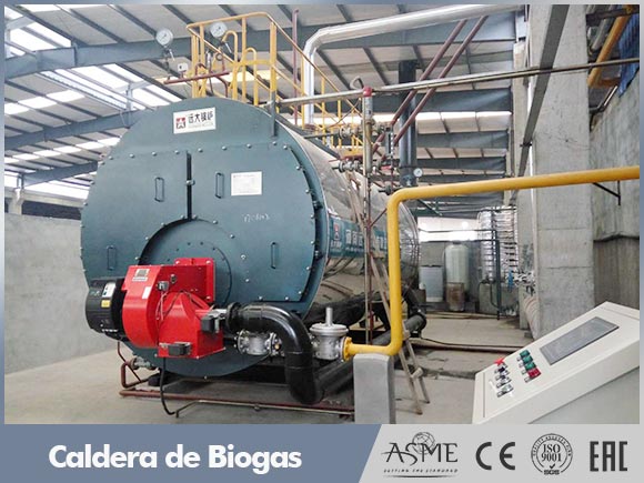 caldera gas biogas,caldera vapor de biogas,caldera agua caliente de biogas