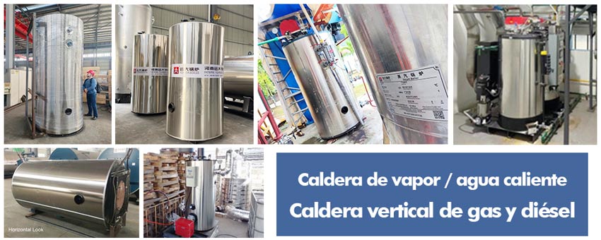 caldera gas vertical,caldera diesel vertical,caldera vertical