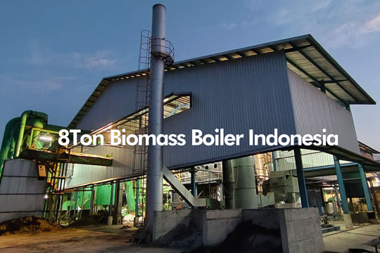 palm oil mill boiler,biomass steam boiler,8ton plam oil boiler