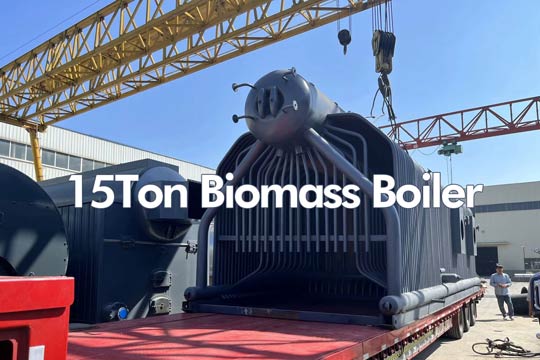 15ton biomass boiler,15ton steam boiler,water tube biomass boiler