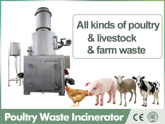 animals incinerator,pets incinerator,animal carcass incinerator