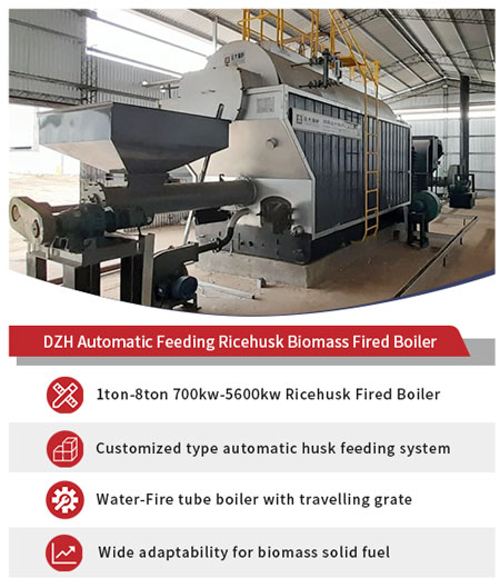 yuanda ricehusk boiler,yuanda biomass boiler,china ricehusk boiler