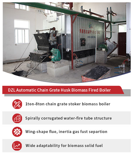 chain grate ricehusk boiler,ricehusk biomass boiler,ricehusk steam boiler