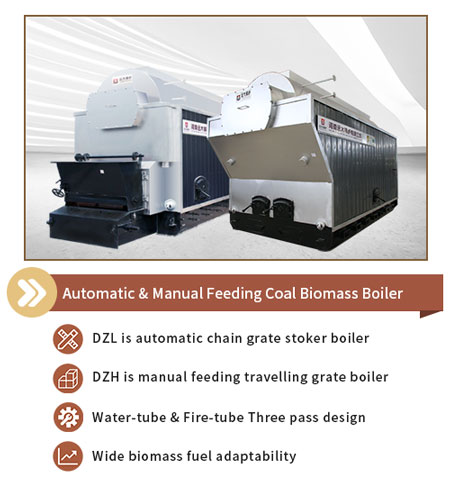 chain grate biomass boiler,wood biomass fired boiler,dzl chain grate boiler