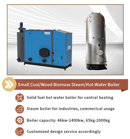 small wood biomass boiler,vertical wood biomass boiler,industrial biomass boiler