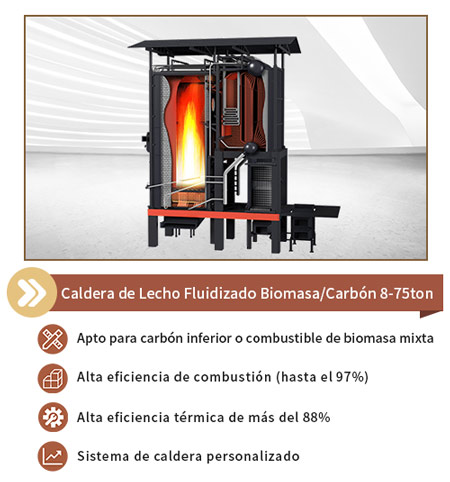 Caldera de biomasa de lecho fluidizado circulante