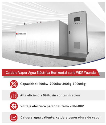 caldera vapor electrica,caldera de electrica horizontal