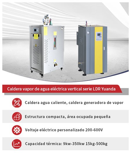 caldera vapor electric,caldera electric vertical,caldera electric horizontal