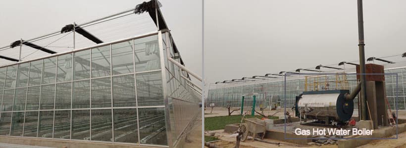 Heating System In Greenhouse