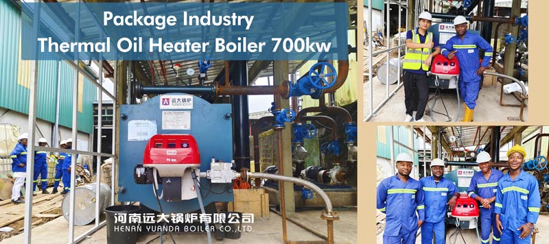 600000kcal oil heater boiler,700kw oil heater boiler,diesel thermal oil boiler