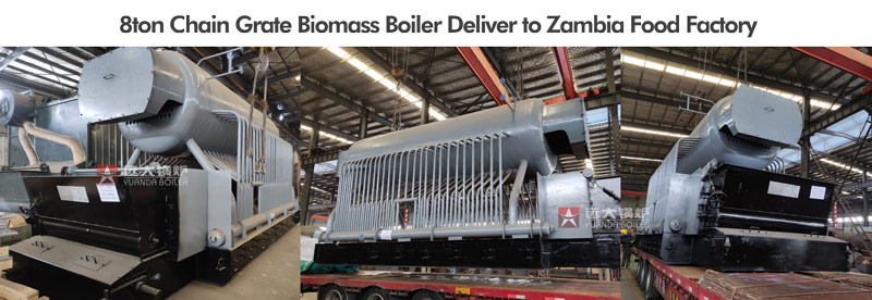 8ton biomass boiler,zambia biomass boiler,zambia steam boiler