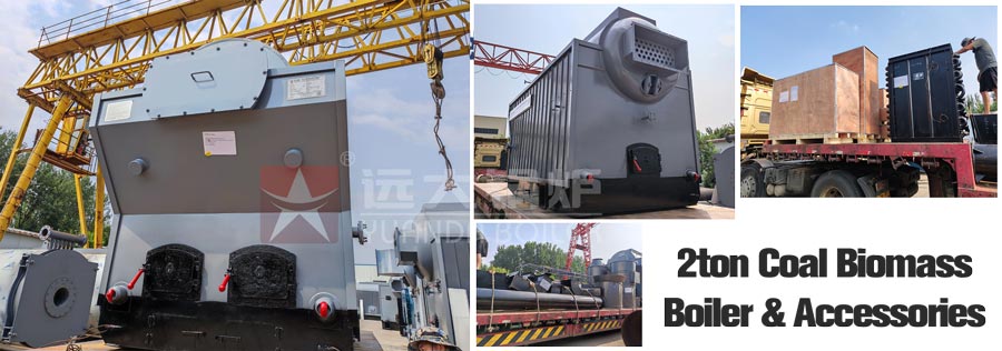 dzh wood biomass boiler,travelling grate stoker furnace,2ton wood biomass steam boiler