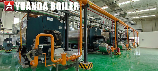 Industrial Thermal Oil Heater 6Mkcal Gas Fired Boiler