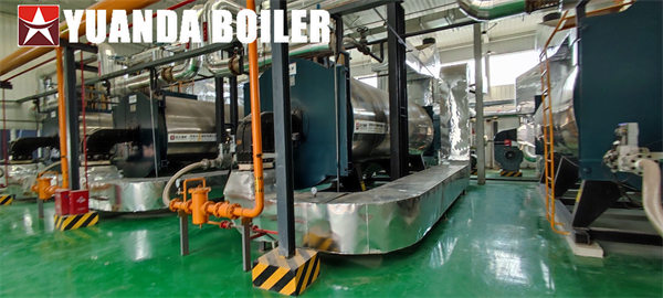 Industrial Thermal Oil Heater 6Mkcal Gas Fired Boiler