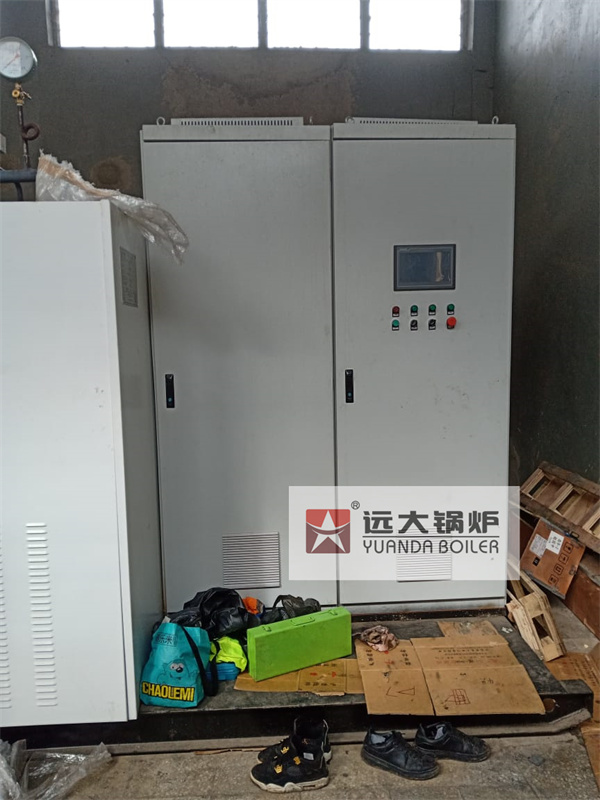 2000kg Electric Steam Generator Horizontal Electric Boiler WDR Series Boiler