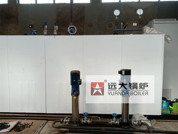 2000kg Electric Steam Generator Horizontal Electric Boiler WDR Series Boiler