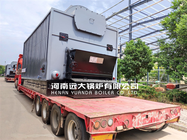 6Ton Chain Grate Steam Boiler Wood Biomass Coal Boiler