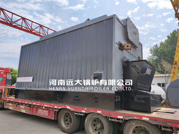 6Ton Chain Grate Steam Boiler Wood Biomass Coal Boiler