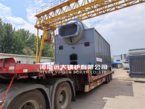 6Ton Chain Grate Steam Boiler Wood Biomass Coal Boiler