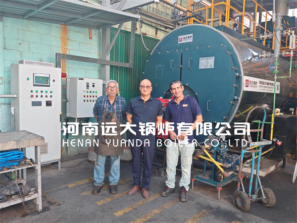 Ghana Project 2Ton 4Ton Diesel Gas Lpg Steam Boiler Fire Tube Boiler in Food Factory