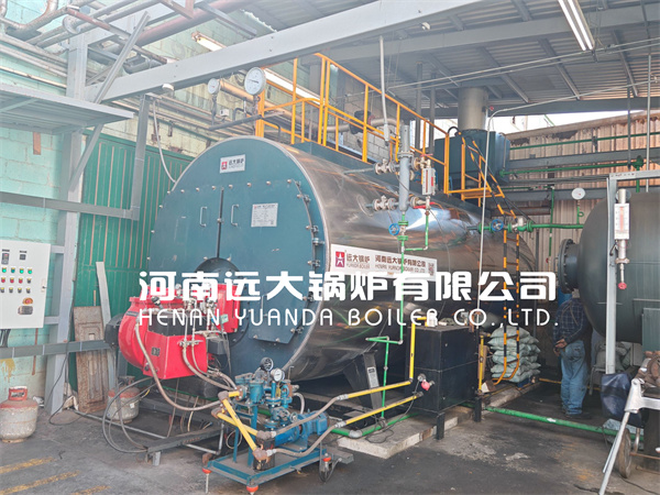 Ghana Project 2Ton 4Ton Diesel Gas Lpg Steam Boiler Fire Tube Boiler in Food Factory