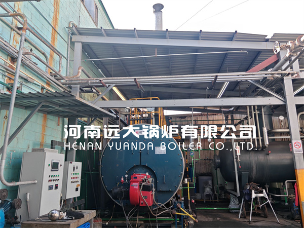 Ghana Project 2Ton 4Ton Diesel Gas Lpg Steam Boiler Fire Tube Boiler in Food Factory