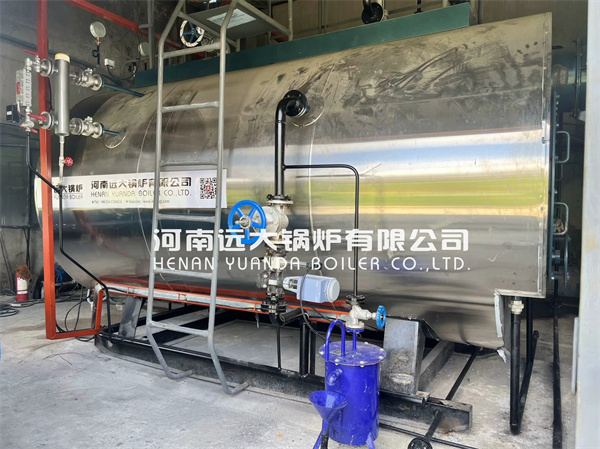 4000KG Diesel Gas Steam Generator Boiler For Food Factory Philippines