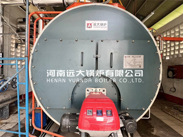 4000KG Diesel Gas Steam Generator Boiler For Food Factory Philippines