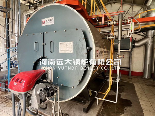 4000KG Diesel Gas Steam Generator Boiler For Food Factory Philippines